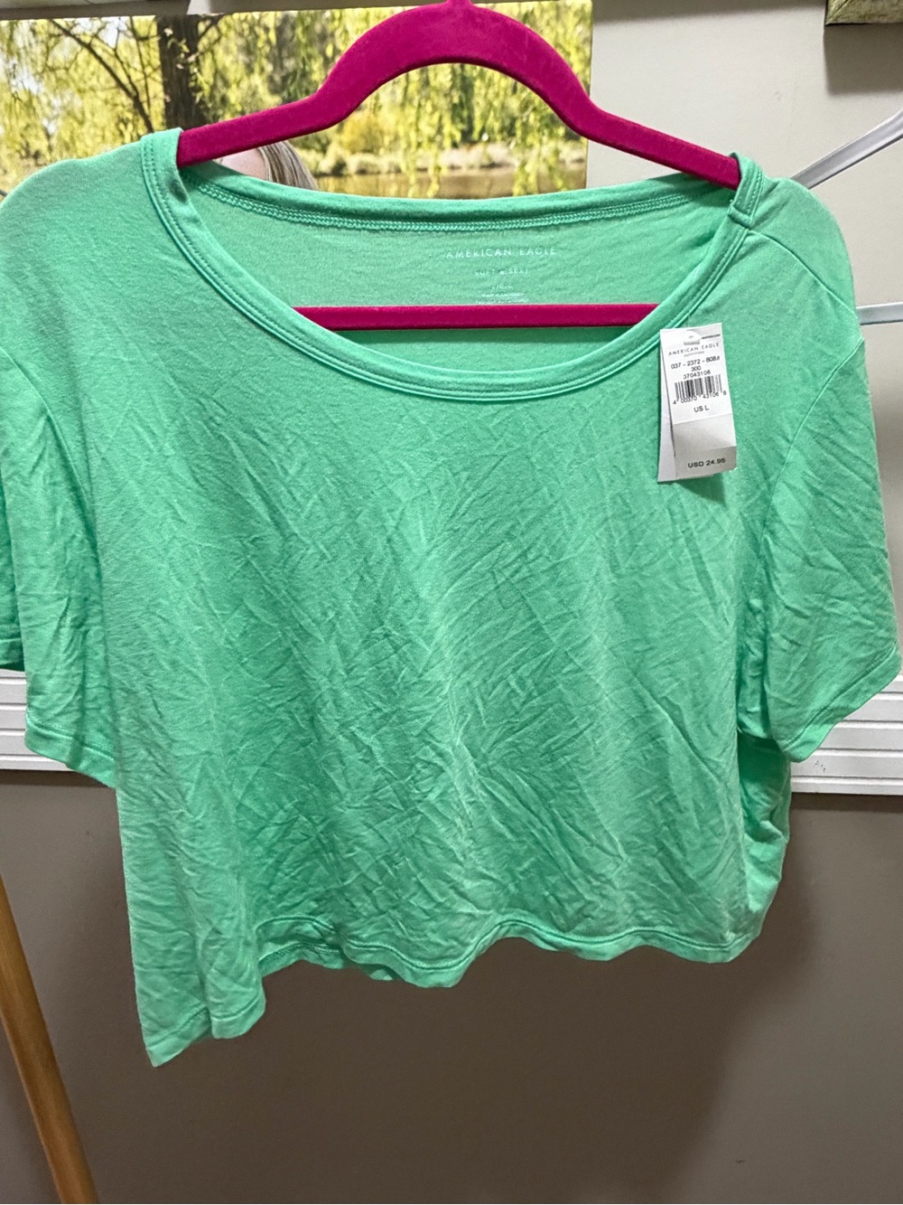 American Eagle Outfitters Mint Green Cropped Tee